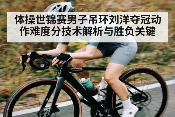 体操世锦赛男子吊环刘洋夺冠动作难度分技术解析与胜负关键 - Baccarat